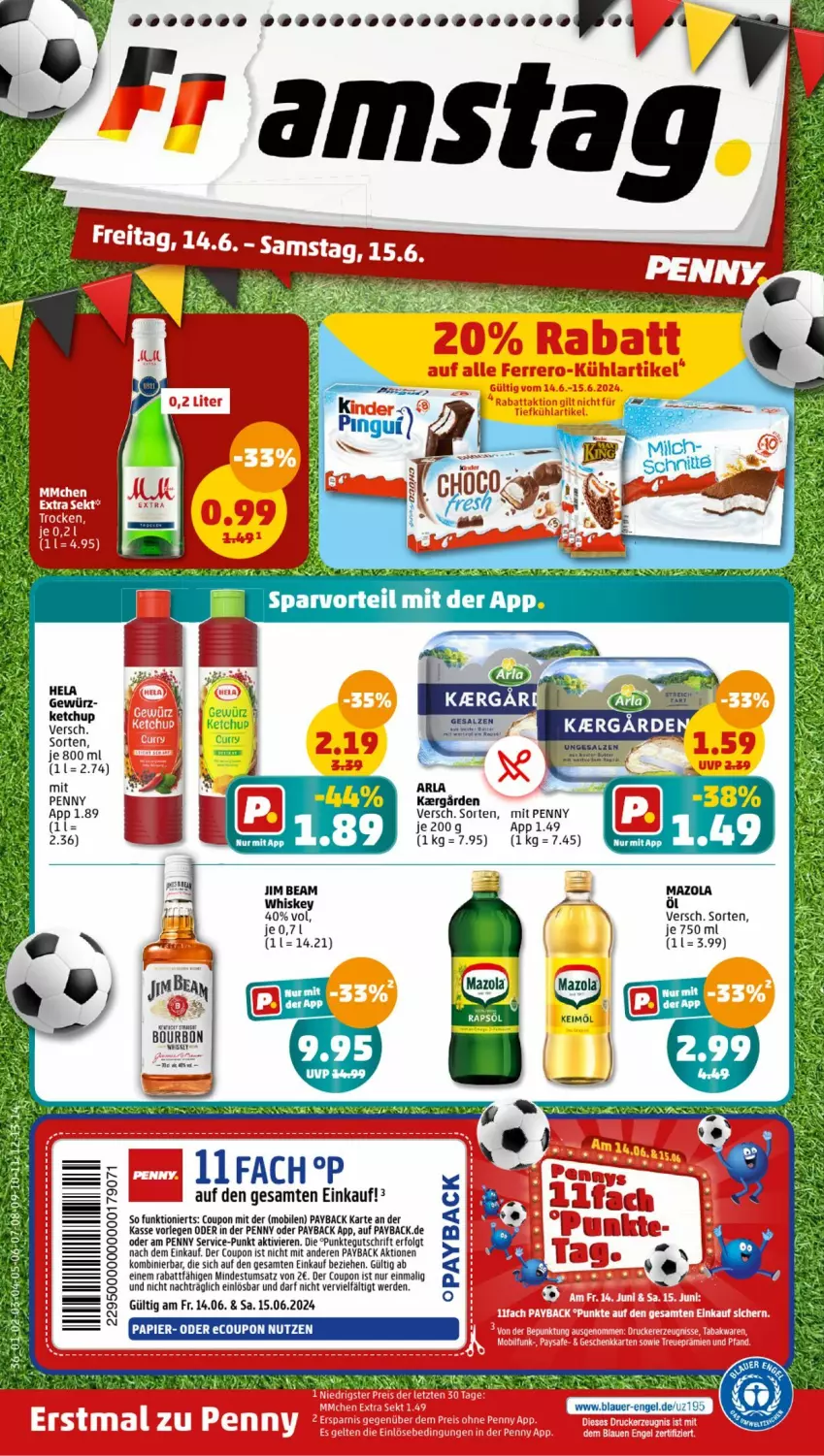 Aktueller Prospekt Penny - Prospekte - von 10.06 bis 15.06.2024 - strona 40 - produkty: arla, auer, bourbon, coupon, curry, elle, Engel, erde, gewürz, Hela, jim beam, ketchup, LG, mam, mazola, papier, payback, Razer, salz, teller, Ti, whiskey