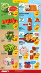 Gazetka promocyjna Penny - Prospekte - Gazetka - ważna od 15.06 do 15.06.2024 - strona 32 - produkty: blume, bratwurst, brustfilet, cocktail, eis, filet, filets, fleisch, Frische Hähnchen, Geflügel, joghur, joghurt, lachs, marinade, Nackensteak, nackensteaks, paprika, regal, reis, rispentomaten, schinken, schwein, schweine, steak, steaks, Strohblume, tomate, tomaten, topf, Vase, wein, weine, wiltmann, wurst, ZTE