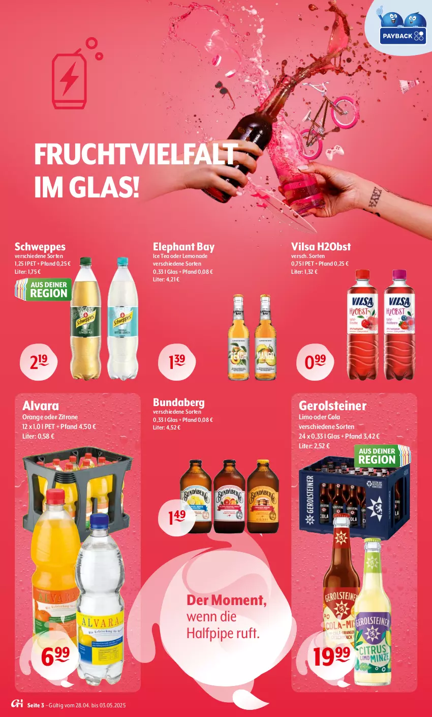 Aktueller Prospekt Getraenke Hoffmann - Prospekte - von 28.04 bis 03.05.2025 - strona 3 - produkty: Bundaberg, cola, Elephant Bay, frucht, gerolsteine, gerolsteiner, ice tea, lemonade, limo, obst, orange, schweppes, steiner, Ti, vilsa, zitrone