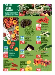 Gazetka promocyjna Feneberg - Prospekte - Gazetka - ważna od 19.08 do 19.08.2023 - strona 6 - produkty: aubergine, auberginen, auer, Bau, bio, bio-zucchini, eis, fleisch, frucht, gin, grill, gurke, gurken, mac, Nektar, nektarinen, nektarinen oder, obst, Obst und Gemüse, oder pfirsiche, paprika, paprika mix, pfirsich, pfirsiche, reis, rispentomaten, rwe, saft, salat, Spitzpaprika, Ti, tisch, tomate, tomaten, trolli, und gemüse, vita, zitrone, zitronen, zucchini