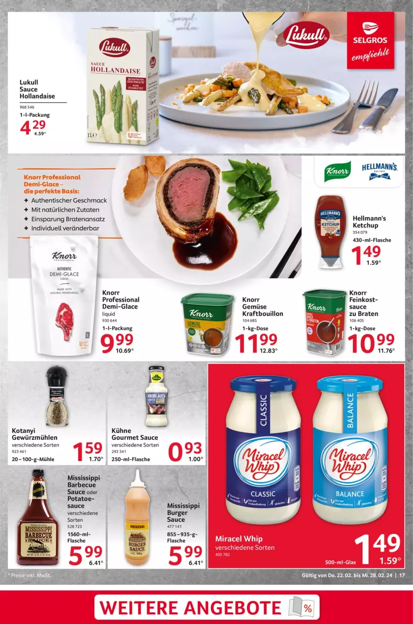 Aktueller Prospekt Selgros - Food - von 22.02 bis 28.02.2024 - strona 17 - produkty: barbecue, braten, burger, ente, feinkost, flasche, gewürz, Gewürzmühle, gin, Hellmann's, hollandaise, ketchup, knorr, kraft, Kühne, lukull, mac, sauce, Ti, tisch