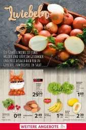 Gazetka promocyjna Selgros - Food - Gazetka - ważna od 28.02 do 28.02.2024 - strona 3 - produkty: banane, eis, honig, kartoffel, kartoffeln, kopfsalat, LG, mac, melone, radieschen, reis, Ria, salat, Süßkartoffeln, Ti