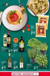 Gazetka promocyjna Selgros - Food - Gazetka - ważna od 28.02 do 28.02.2024 - strona 7 - produkty: angebot, angebote, balsam, balsamico, condimento, corona, eier, flasche, mezzacorona, Mode, olive, oliven, olivenöl, olivenöl extra, Pinot, pinot grigio, regal, riserva, rosato, saro, tee, Ti, topf, torte, tortelloni