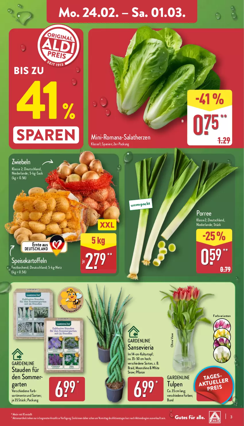 Aktueller Prospekt Aldi Nord - Von Montag - von 24.02 bis 01.03.2025 - strona 3 - produkty: Blüte, Brei, eis, ente, Garten, gin, kartoffel, kartoffeln, kulturtopf, pflanze, Ria, sac, salat, salatherzen, speisekartoffeln, stauden, Ti, topf, Vase, ZTE, zwiebel, zwiebeln