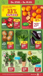 Gazetka promocyjna Aldi Nord - Von Montag - Gazetka - ważna od 01.03 do 01.03.2025 - strona 27 - produkty: aldi, aubergine, Blüte, Brei, brokkoli, eis, gewürz, gin, kiwi, kulturtopf, mandarine, mandarinen, paprika, paprika rot, pflanze, pflanzen, reis, Ria, rind, Schal, Schale, Ti, topf, Vase, ZTE