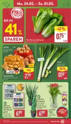 Gazetka promocyjna Aldi Nord - Von Montag - Gazetka - ważna od 01.03 do 01.03.2025 - strona 3 - produkty: Blüte, Brei, eis, ente, Garten, gin, kartoffel, kartoffeln, kulturtopf, pflanze, Ria, sac, salat, salatherzen, speisekartoffeln, stauden, Ti, topf, Vase, ZTE, zwiebel, zwiebeln