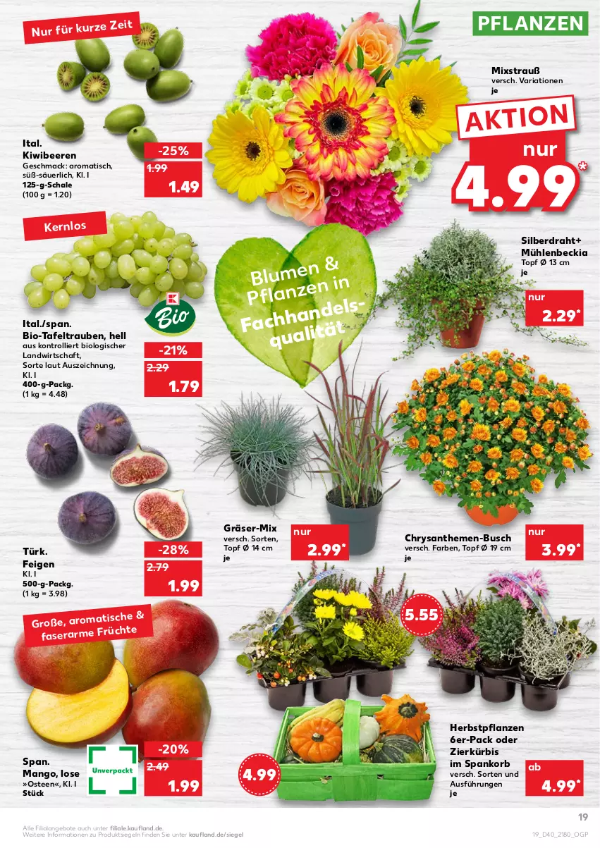 Aktueller Prospekt Kaufland - von 07.10 bis 13.10.2021 - strona 19