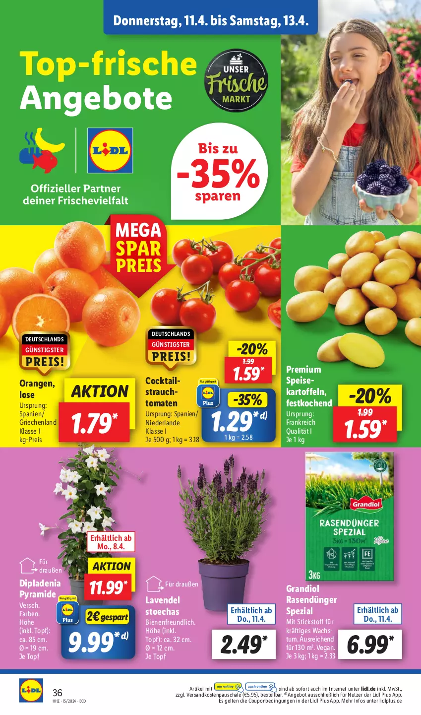 Aktueller Prospekt Lidl - Aktionsprospekt - von 08.04 bis 13.04.2024 - strona 48 - produkty: angebot, angebote, cocktail, cocktails, coupon, dip, dipladenia, dünger, eis, kartoffel, kartoffeln, lavendel, ndk, orange, orangen, rasen, rasendünger, Rauch, reis, Schal, Schale, speisekartoffeln, Spezi, strauchtomaten, Ti, tomate, tomaten, topf