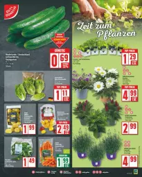 Gazetka promocyjna Edeka - Prospekte - Gazetka - ważna od 22.06 do 22.06.2024 - strona 3 - produkty: eis, gurke, gurken, reis, salat, Salatgurke, salatgurken, Ti, top-preis