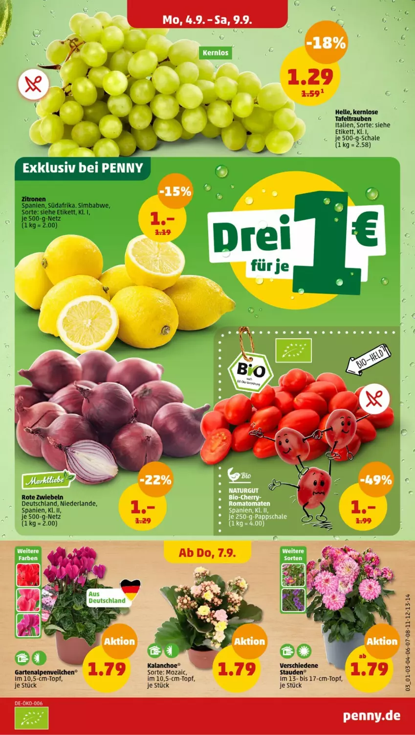 Aktueller Prospekt Penny - Prospekte - von 04.09 bis 09.09.2023 - strona 3 - produkty: Alpenveilchen, elle, Garten, Rote Zwiebel, Schal, Schale, sim, simba, tafeltrauben, Ti, topf, trauben, zitrone, zitronen, zwiebel, zwiebeln