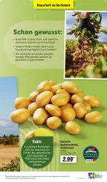 Gazetka promocyjna Lidl - Aktionsprospekt - Gazetka - ważna od 26.08 do 26.08.2023 - strona 7 - produkty: angebot, auer, eis, erde, kartoffel, kartoffeln, obst, pflanze, pflanzen, reis, rwe, speisekartoffeln, Sport, Ti, und gemüse, ZTE