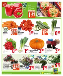 Gazetka promocyjna E Center - Angebote der Woche - Gazetka - ważna od 07.10 do 07.10.2023 - strona 3 - produkty: ACC, acer, Becher, beutel, bio, chrysanthemen, Draht, eis, Ficus, Kürbis, Lauchzwiebel, lauchzwiebeln, Leuchte, leuchten, LG, möhren, monster, Monstera, paprika, paprika rot, pflanze, radieschen, Rettich, Ria, Romatomaten, Ti, tomate, tomaten, topf, Tüte, zucchini, zwiebel, zwiebeln