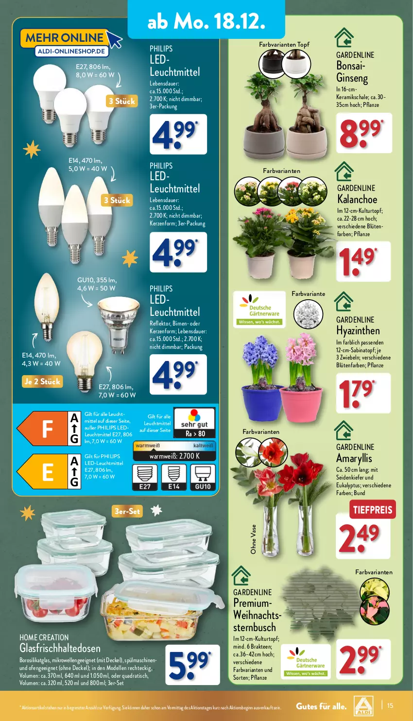 Aktueller Prospekt Aldi Nord - Von Montag - von 18.12 bis 23.12.2023 - strona 15 - produkty: aldi, auer, Birnen, Blüte, Brei, decke, Deckel, dell, eis, elle, frischhaltedosen, gin, Kalanchoe, kerze, kulturtopf, leuchtmittel, mikrowelle, Mode, Ofen, pflanze, Philips, quad, reis, Ria, Schal, Schale, spülmaschinen, tee, Ti, tiefpreis, tisch, topf, Vase, Weihnachtsstern, ZTE, zwiebel, zwiebeln