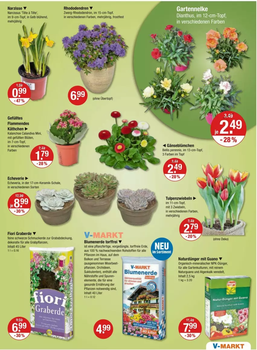 Aktueller Prospekt Vmarkt - Prospekte - von 14.03 bis 20.03.2024 - strona 15 - produkty: blume, blumen, blumenerde, Blüte, dünger, eis, ente, erde, Garten, im 9-cm-topf, Kalanchoe, lamm, LG, natur, orchidee, orchideen, pflanze, pflanzen, reis, reiss, Ria, Schal, Schale, Schmuck, Sukkulente, Ti, topf, zwiebel, zwiebeln