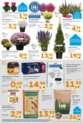 Gazetka promocyjna  - Gazetka - ważna od 26.09 do 26.09.2026 - strona 13 - produkty: Alpenveilchen, Babypuder, Bau, Blüte, braun, chrysanthemen, Draht, eis, elle, ente, felix, Fulda, Garten, Germ, hühner, katzenfutter, Katzenstreu, korn, LG, nassfutter, nerf, sac, salz, Schal, Schale, sim, Ti, tierbedarf, topf, Wild