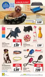 Gazetka promocyjna Lidl - Aktionsprospekt - Gazetka - ważna od 20.08 do 20.08.2022 - strona 18 - produkty: akku, bett, beutel, decke, eis, Hundebett, Körbchen, Lampe, leine, Liege, ndk, reis, rwe, Schal, Schale, spielzeug, Ti, tierbedarf, usb, ZTE