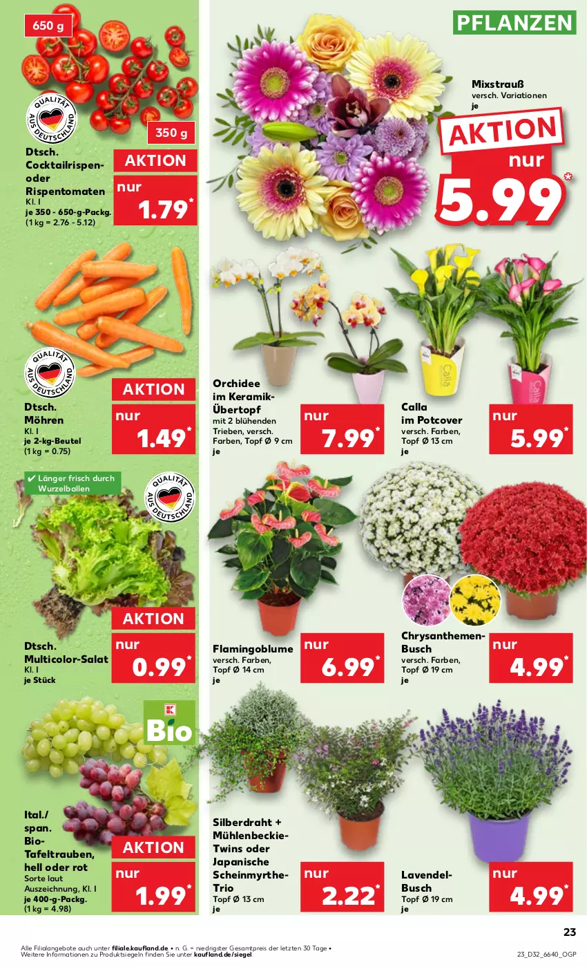 Aktueller Prospekt Kaufland - Prospekt - von 08.08 bis 14.08.2024 - strona 23 - produkty: angebot, angebote, ball, beutel, bio, blume, chrysanthemen, cocktail, Draht, eis, lavendel, möhren, orchidee, pflanze, pflanzen, reis, Ria, rispentomaten, salat, tafeltrauben, Ti, tomate, tomaten, topf, trauben, übertopf, ZTE