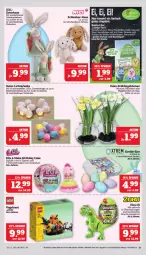 Gazetka promocyjna Marktkauf - Prospekt - Gazetka - ważna od 16.03 do 16.03.2024 - strona 31 - produkty: auer, batterie, Bau, Bauer, blume, blumen, eier, Jura, Kette, leds, Leuchte, leuchten, lichterkette, Lusti, Narzissen, Ria, Teleskop, Ti, Tiere