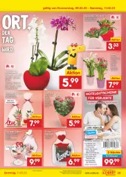Gazetka promocyjna Netto Marken-Discount - Filial-Angebote - Gazetka - ważna od 11.02 do 11.02.2023 - strona 39 - produkty: angebot, bestpreis, eis, gutschein, Holz, Kalanchoe, LG, orchidee, orchideen, reis, rosen, Ti, topf, Vase, ZTE