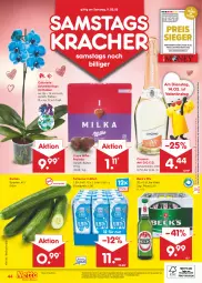 Gazetka promocyjna Netto Marken-Discount - Filial-Angebote - Gazetka - ważna od 11.02 do 11.02.2023 - strona 44 - produkty: angebot, angebote, asti, bestpreis, cin, cinzano, Cinzano Asti, discount, eis, gurke, gurken, Holz, kracher, marken-discount, Mett, milch, milka, ndk, orchidee, orchideen, pils, reis, Schmetterling, schmetterlingsorchidee, Ti, topf, wein, ZTE