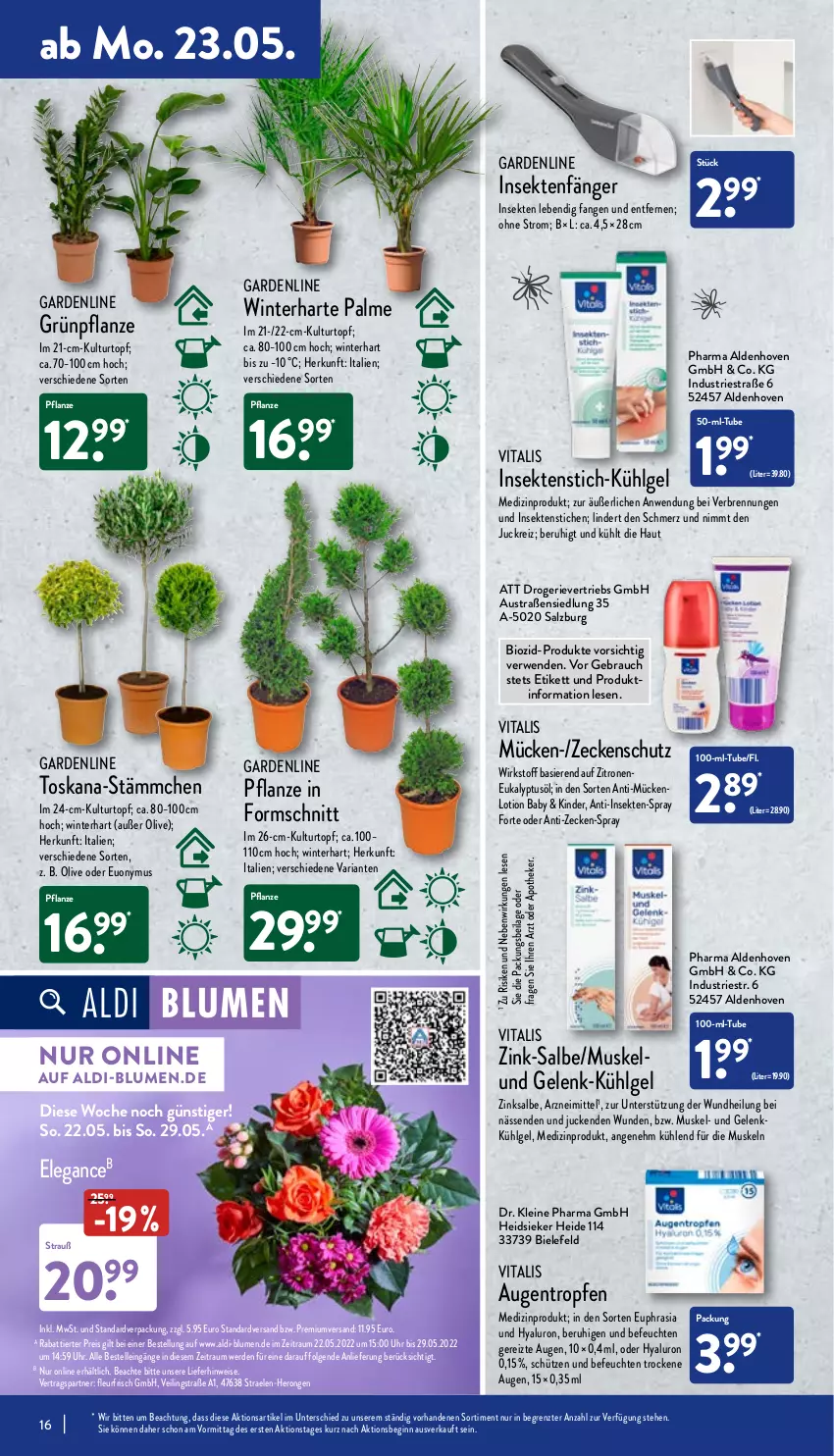 Aktueller Prospekt Aldi Nord - Aldi-Aktuell - von 23.05 bis 28.05.2022 - strona 16 - produkty: aldi, Apotheke, aust, bio, blume, blumen, Blüte, Brei, eis, elle, erde, gin, hero, hyaluron, ilag, Kinder, kulturtopf, leine, LG, Lotion, medizinprodukt, olive, pflanze, Rauch, reis, Ria, rwe, salz, Schütze, sekt, Ti, topf, uhr, vita, vitalis, zitrone, zitronen, ZTE