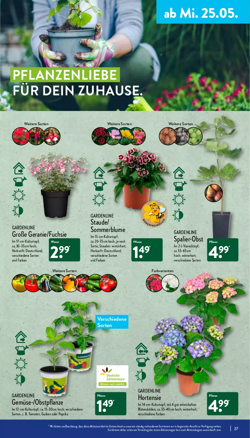 Aktueller Prospekt Aldi Nord - Aldi-Aktuell - von 23.05 bis 28.05.2022 - strona 27 - produkty: blume, Blüte, Brei, geranie, gin, gurke, gurken, hortensie, kulturtopf, obst, paprika, pflanze, pflanzen, Ria, stauden, Ti, tomate, tomaten, topf, WICK, ZTE