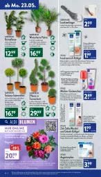 Gazetka promocyjna Aldi Nord - Aldi-Aktuell - Gazetka - ważna od 28.05 do 28.05.2022 - strona 16 - produkty: aldi, Apotheke, aust, bio, blume, blumen, Blüte, Brei, eis, elle, erde, gin, hero, hyaluron, ilag, Kinder, kulturtopf, leine, LG, Lotion, medizinprodukt, olive, pflanze, Rauch, reis, Ria, rwe, salz, Schütze, sekt, Ti, topf, uhr, vita, vitalis, zitrone, zitronen, ZTE