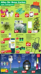 Gazetka promocyjna Thomas Philipps - Prospektwerbung - Gazetka - ważna od 20.08 do 20.08.2022 - strona 4 - produkty: adapter, akku, auto, Beetumrandung, Behälter, blume, blumen, blumenerde, braun, Brei, bürste, Clogs, Draht, dünger, edelstahl, eis, ente, erde, flasche, flüssigdünger, Fugenbürste, Garten, Gartenpflanze, gartenschlauch, Gewebeplane, gin, handschuhe, hocker, Holz, HP, kerze, Kraut, lack, Lacke, Lampe, laterne, Laufen, lavendel, Leuchte, LG, Mantel, natur, pflanze, pflanzen, rasen, Rauch, reis, Ria, rind, rindenmulch, ring, rosen, Schal, schlauch, schuhe, tee, Teelicht, teelichte, Ti, topf, trommel, vorteilspreis, wasser