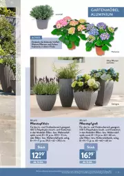 Gazetka promocyjna Aldi Nord - Aldi-Garten - Gazetka - ważna od 30.06 do 30.06.2022 - strona 25 - produkty: decke, dell, elle, Garten, gartenmöbel, gin, hortensie, lavendel, möbel, Mode, pflanze, pflanzen, Pflanztopf, rel, Ti, topf, ZTE