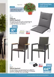 Gazetka promocyjna Aldi Nord - Aldi-Garten - Gazetka - ważna od 30.06 do 30.06.2022 - strona 31 - produkty: armlehnen, Bau, baumwolle, decke, ente, Garten, gartenmöbel, gin, Holz, kunststoffgeflecht, möbel, pflanze, pflanzen, stapelstuhl, stuhl, Ti, wolle, ZTE