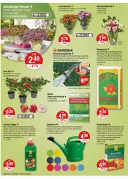 Gazetka promocyjna Vmarkt - Prospekte - Gazetka - ważna od 02.07 do 02.07.2025 - strona 18 - produkty: angebot, angebote, auer, beutel, blume, blumen, blumenerde, Blüte, brause, dünger, ente, erde, gardena, Gießkanne, gurke, gurken, kraft, LG, paprika, pflanze, pflanzen, rasen, rosen, Ti, tomate, tomaten, topf, wasser, zucchini