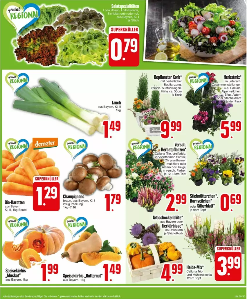 Aktueller Prospekt Edeka - Prospekte - von 23.09 bis 28.09.2024 - strona 7 - produkty: Artischocken, beutel, Blüte, braun, butter, champignon, champignons, chrysanthemen, Draht, eis, korb, Kürbis, Ti, tisch, topf, ZTE