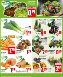 Gazetka promocyjna Edeka - Prospekte - Gazetka - ważna od 28.09 do 28.09.2024 - strona 7 - produkty: Artischocken, beutel, Blüte, braun, butter, champignon, champignons, chrysanthemen, Draht, eis, korb, Kürbis, Ti, tisch, topf, ZTE