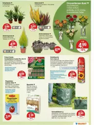 Gazetka promocyjna Vmarkt - Prospekte - Gazetka - ważna od 17.09 do 17.09.2025 - strona 17 - produkty: auer, Aufkleber, blume, Brei, chrysanthemen, elle, Garten, Grünpflanzen, Holz, käfer, kleber, Liege, mac, Maus, pflanze, pflanzen, Rauch, ring, rwe, sac, sekt, Ti, tisch, topf, tragegriff