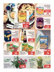 Gazetka promocyjna Feneberg - Prospekte - Gazetka - ważna od 25.02 do 25.02.2023 - strona 8 - produkty: apfel, auer, barilla, beutel, discount, eis, elle, essig, flasche, Garten, gartennelke, hengstenberg, knorr, knorr fix, Kraut, LG, mais, Narzissen, pasta, reis, rotkohl, sauce, Sauerkraut, Spezi, suppe, suppen, suppenliebe, teller, thomy, thomy les sauces, Ti, topf, wein, Weinsauerkraut