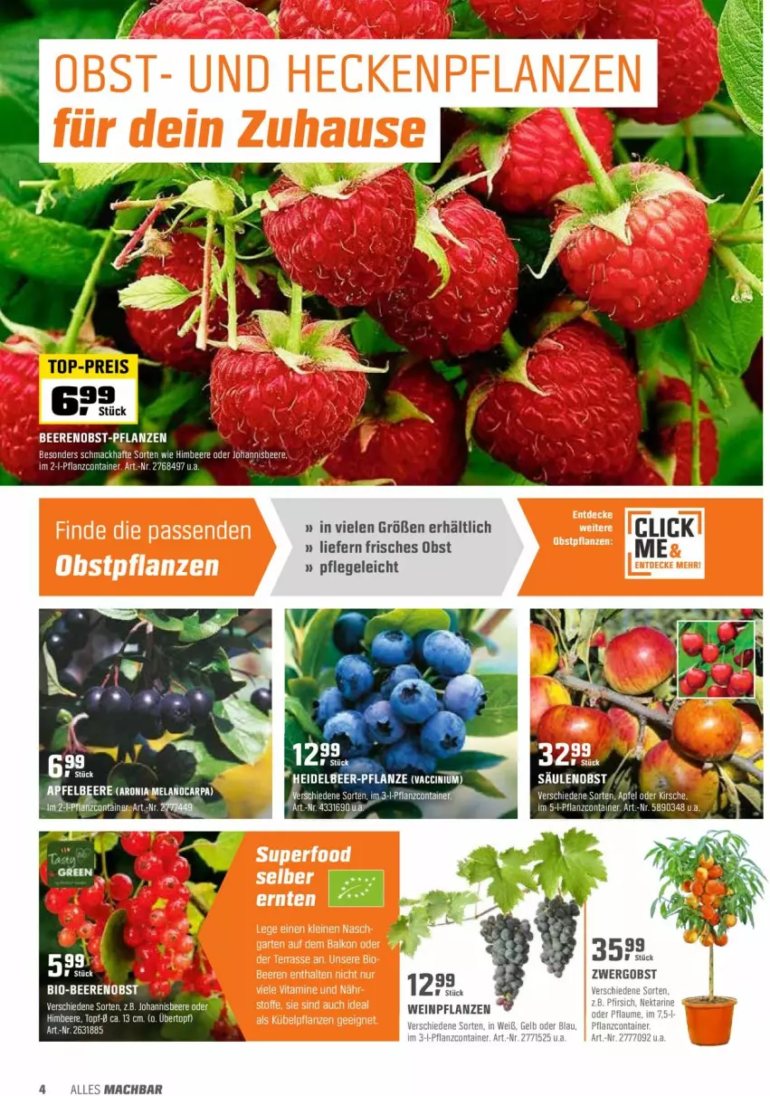 Aktueller Prospekt Obi - Prospekte - von 05.04 bis 17.04.2022 - strona 4 - produkty: apfel, beere, beeren, bio, Container, himbeer, himbeere, johannisbeere, kirsch, kirsche, leine, LG, mac, obst, Obstpflanzen, pflanze, pflanzen, topf, übertopf, wein