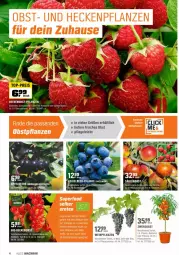 Gazetka promocyjna Obi - Prospekte - Gazetka - ważna od 17.04 do 17.04.2022 - strona 4 - produkty: apfel, beere, beeren, bio, Container, himbeer, himbeere, johannisbeere, kirsch, kirsche, leine, LG, mac, obst, Obstpflanzen, pflanze, pflanzen, topf, übertopf, wein