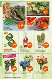 Gazetka promocyjna Tegut - Angebote der Woche - Gazetka - ważna od 30.04 do 30.04.2022 - strona 6 - produkty: angebot, angebote, Bau, bio, Bio-Paprika, blume, blumen, dekoration, hortensie, hortensien, kohlrabi, Körbchen, paprika, pflanze, pflanzen, pril, Rauch, rosen, spargel, spinat, strauchtomaten, Ti, tomate, tomaten, topf, zucchini