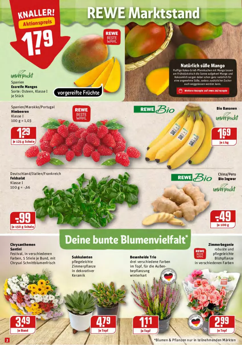 Aktueller Prospekt Rewe - Prospekte - von 25.10 bis 31.10.2021 - strona 2