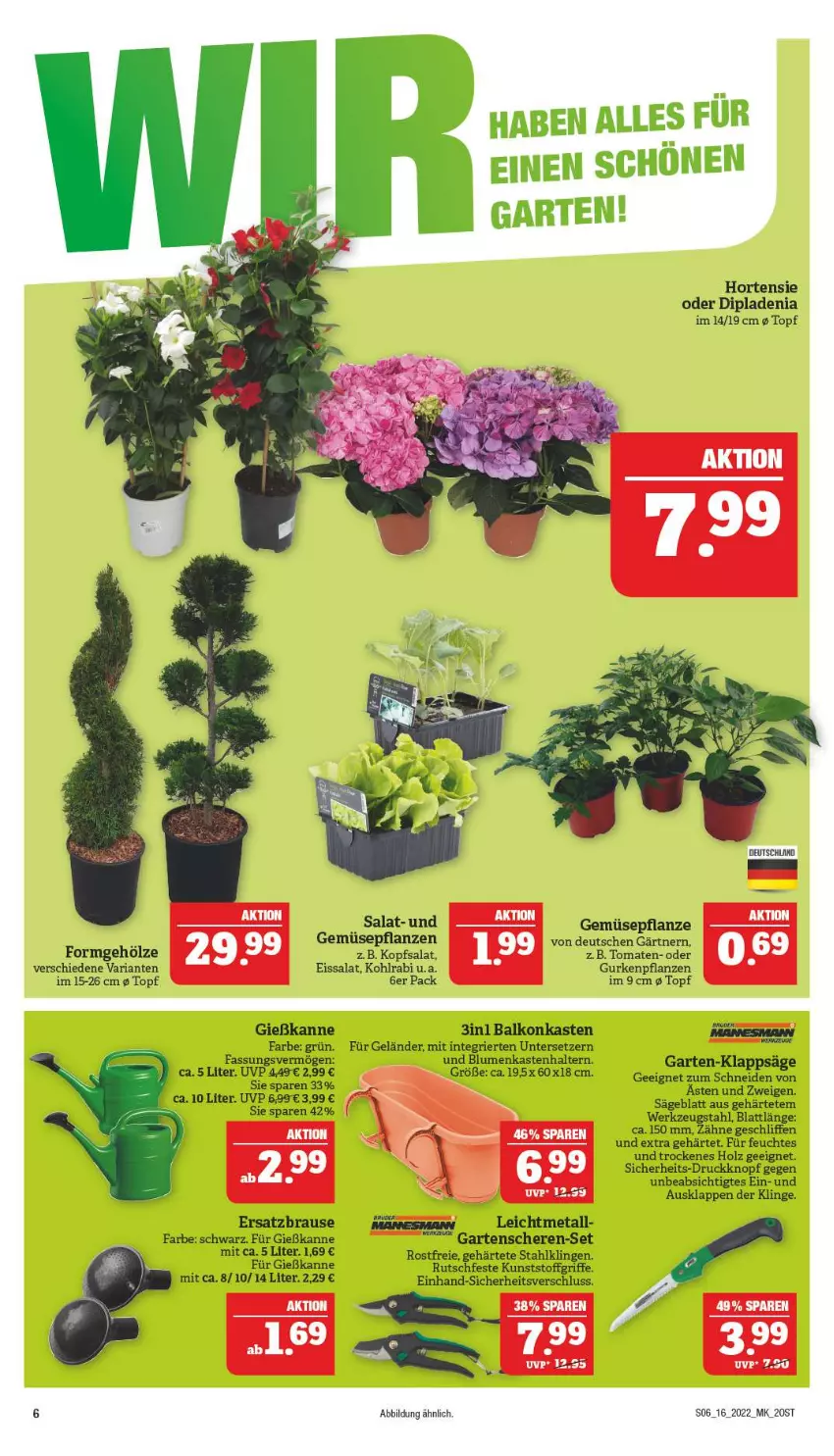 Aktueller Prospekt Marktkauf - Prospekt - von 17.04 bis 23.04.2022 - strona 6 - produkty: blume, blumen, brause, dip, dipladenia, eis, Garten, Gartenschere, Gießkanne, gurke, gurken, Holz, hortensie, kohlrabi, kopfsalat, pflanze, pflanzen, Ria, säge, salat, Schere, Ti, tomate, tomaten, topf, Untersetzer, werkzeug