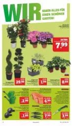 Gazetka promocyjna Marktkauf - Prospekt - Gazetka - ważna od 23.04 do 23.04.2022 - strona 6 - produkty: blume, blumen, brause, dip, dipladenia, eis, Garten, Gartenschere, Gießkanne, gurke, gurken, Holz, hortensie, kohlrabi, kopfsalat, pflanze, pflanzen, Ria, säge, salat, Schere, Ti, tomate, tomaten, topf, Untersetzer, werkzeug