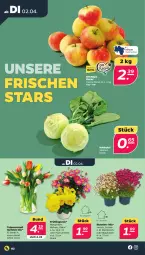 Gazetka promocyjna Netto - Woche 14 - Gazetka - ważna od 06.04 do 06.04.2024 - strona 2 - produkty: kissen, kohlrabi, sac, stauden, Ti, Vase