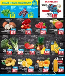 Gazetka promocyjna Aez - Prospekte - Gazetka - ważna od 03.02 do 03.02.2024 - strona 2 - produkty: ananas, auer, aus dem kühlregal, banane, bananen, beere, beeren, berliner, bio, bio hit, braun, broccoli, champignon, champignons, champignons braun, chiquita, discount, eintopf, eis, erdbeere, erdbeeren, feldsalat, flasche, fleisch, frucht, fruchtfleisch, glasflasche, himbeer, himbeere, himbeeren, kartoffel, kartoffeln, kracher, kühlregal, LG, mac, navelina, nudel, Nudelgericht, nuss, obst, orange, orangen, paprika, paprika rot, regal, reis, saft, salat, Schal, Schale, snack, speisekartoffeln, Spitzpaprika, tafeläpfel, tafeltrauben, Ti, tisch, tomate, tomaten, topf, trauben, true fruits, vita, Vitamin C, zitrone, zitronen, ZTE, zucker