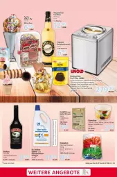 Gazetka promocyjna Selgros - Gastronomie - Gazetka - ważna od 07.08 do 07.08.2024 - strona 29 - produkty: angebot, angebote, auer, auto, baileys, Becher, creme, eier, eierlikör, eis, eisbecher, eiscreme, eismaschine, flasche, gin, Holz, kompressor, likör, Löffel, reiniger, reis, rwe, sahne, schoko, Spaten, tee, Ti, timer, tisch, verpoorten