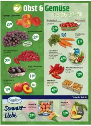 Gazetka promocyjna Vmarkt - Prospekte - Gazetka - ważna od 23.07 do 23.07.2025 - strona 8 - produkty: aprikose, aprikosen, avocado, avocados, cherrytomaten, dressing, eier, eis, fleisch, Hähnchenfleisch, je 250-g-packung, karotten, Käse, korb, ndk, paprika, paprika rot, Pfifferlinge, rum, salat, Schal, Schale, snack, tomate, tomaten