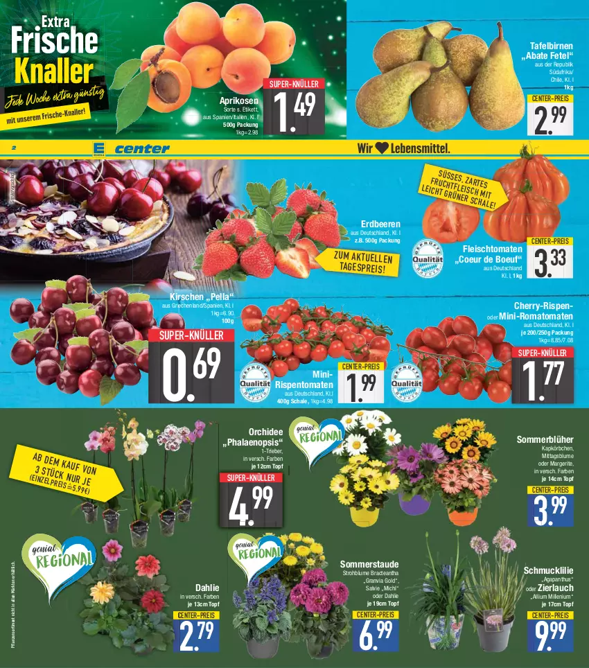 Aktueller Prospekt E Center - Angebote der Woche - von 29.05 bis 03.06.2023 - strona 2 - produkty: aprikose, aprikosen, beere, beeren, Birnen, blume, dahlie, eis, ente, erdbeere, erdbeeren, fleisch, kirsch, kirsche, kirschen, Körbchen, orchidee, pflanze, pflanzen, phalaenopsis, reis, rispentomaten, Romatomaten, Schal, Schale, Schmuck, Strohblume, super-knüller, tafelbirnen, Ti, tomate, tomaten, topf, ZTE