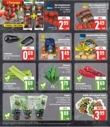 Gazetka promocyjna Edeka - Prospekte - Gazetka - ważna od 06.04 do 06.04.2024 - strona 7 - produkty: bio, eis, kräuter, paprika, reis, rispentomaten, Speisezwiebeln, Spitzpaprika, Ti, tomate, tomaten, topf, ZTE, zwiebel, zwiebeln