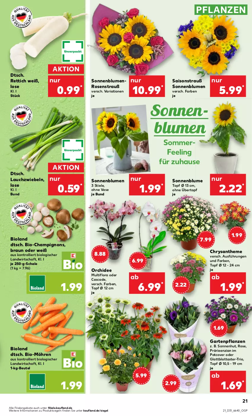 Aktueller Prospekt Kaufland - Prospekt - von 03.08 bis 09.08.2023 - strona 21 - produkty: angebot, angebote, beutel, bio, bioland, blume, blumen, braun, champignon, champignons, Garten, Gartenpflanze, Lauchzwiebel, lauchzwiebeln, möhren, orchidee, pflanze, pflanzen, Rettich, Ria, rosen, Rosenstrauß, Schal, Schale, sonnenblume, sonnenblumen, Ti, topf, topf ø 12 cm, trolli, übertopf, Vase, zwiebel, zwiebeln