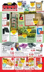 Gazetka promocyjna Jawoll - Prospekte - Gazetka - ważna od 19.02 do 19.02.2022 - strona 1 - produkty: angebot, angebote, bambus, blume, blumen, blumenerde, citrus, Clogs, daim, decke, Deckel, dekoration, dell, din a4, eis, elle, erde, fertiggericht, fertiggerichte, flasche, frucht, fruchtsaft, garnelen, Gewächshaus, Grünpflanzen, HP, kopierpapier, kraft, latte, leine, Mode, office, papier, pflanze, pflanzen, reis, Rollenbox, sac, saft, Schal, Schale, Scheibenfrostschutz, socken, Sport, Ti, tisch, topf, valensina, Vogelfutter, wc frisch, WC Frisch Kraft Aktiv, wolle