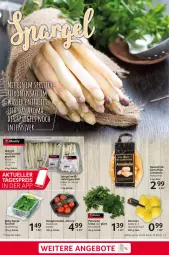 Gazetka promocyjna Selgros - Food - Gazetka - ważna od 10.05 do 10.05.2023 - strona 3 - produkty: ACC, eis, elle, honig, Honigtomaten, kartoffel, kartoffeln, reis, salat, Schal, Schale, spargel, spinat, Ti, tomate, tomaten, zitrone, zitronen